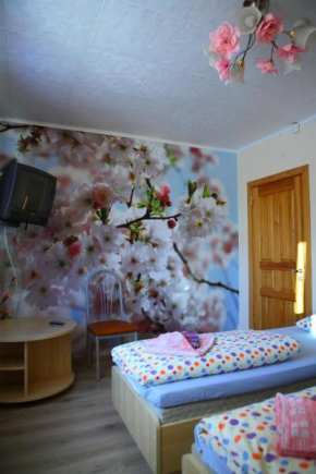 Гостиница Algida House  Друскининкай